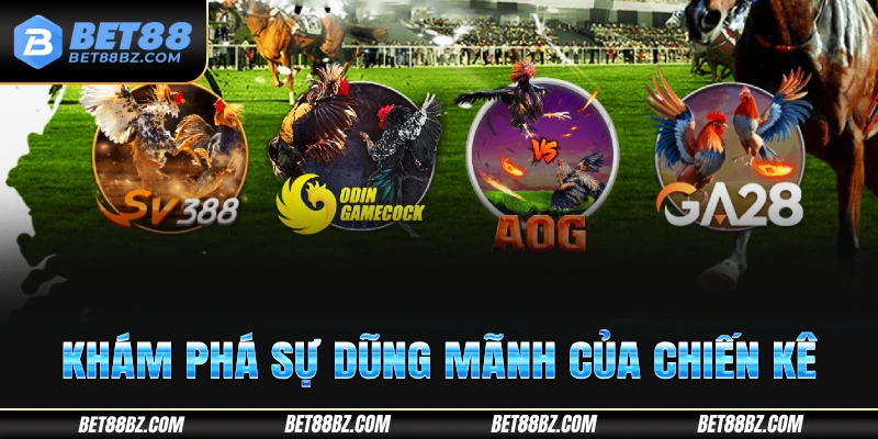 Khám phá sự dũng mãnh của chiến kê tại Đá gà Bet88